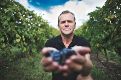 Nick Grapes Face Matte Full Size