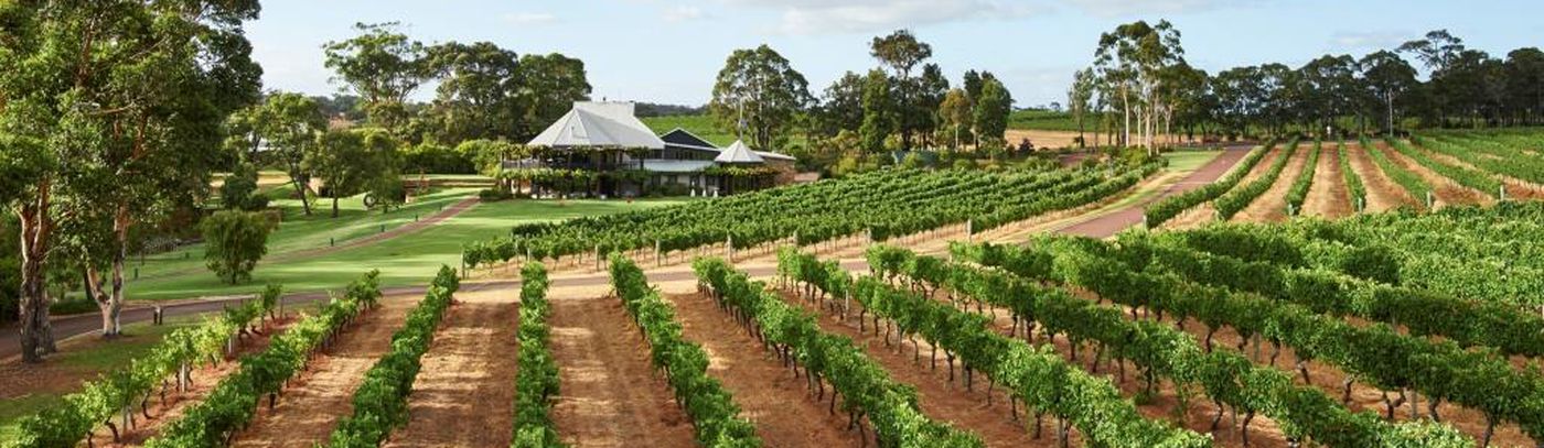 022_20170207_Vasse Felix_Vineyards Small
