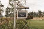 Pizzini Wines