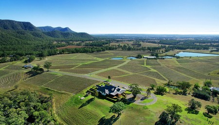 Icons of the Hunter Valley - ex Sydney