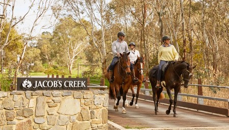 Vineyard Horse Ride and Tasting