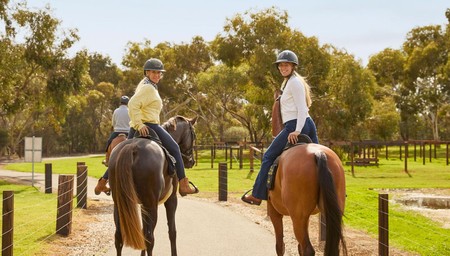 Scenic Trail Ride and Private Curated Tasting