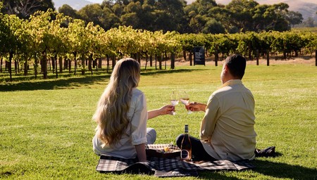 Romantic Vineyard Horse Riding & Picnic