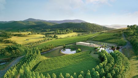 TarraWarra Estate