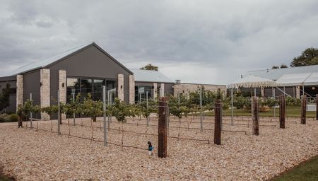 Taylors Wines