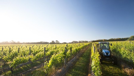 Sydney to Melbourne Wine Trail