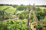 Montalto