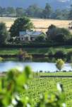 Josef Chromy Wines