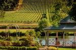 Josef Chromy Wines