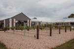 Taylors Wines
