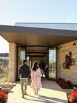 Taylors Wines
