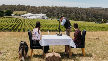 Wine, Wildlife and Vineyard Safari
