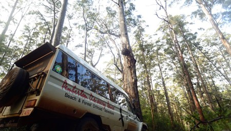 Pemberton Discovery Tours