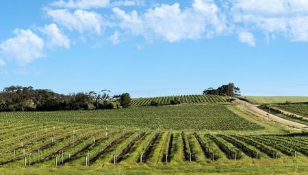 Clare Valley