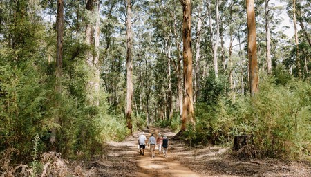Discover the best of Western Australia