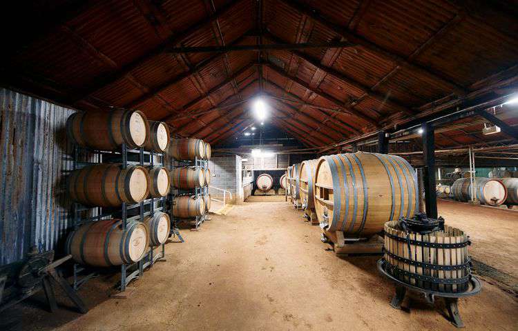 Vat 1 Vertical Experience Ultimate Winery Experiences Australia