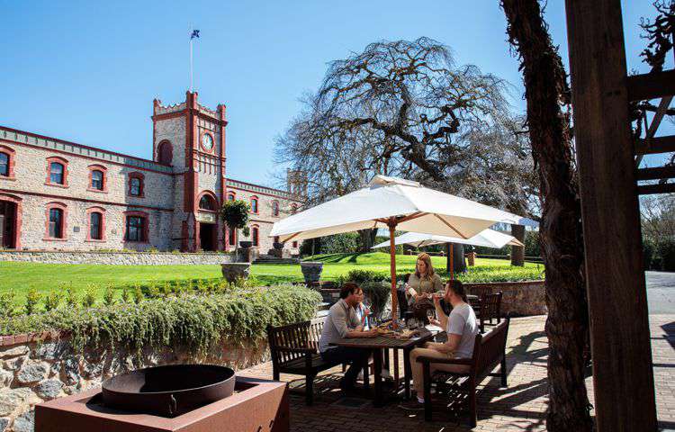 Yalumba Nursery Grenache Discovery Ultimate Winery Experiences