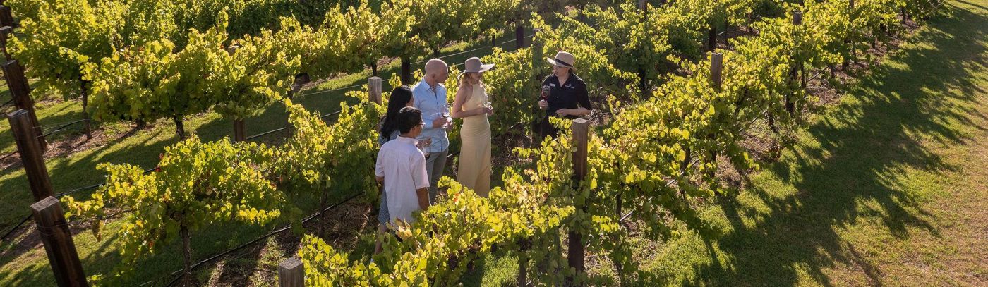 Tour the Barossa with Barossa Helicopters