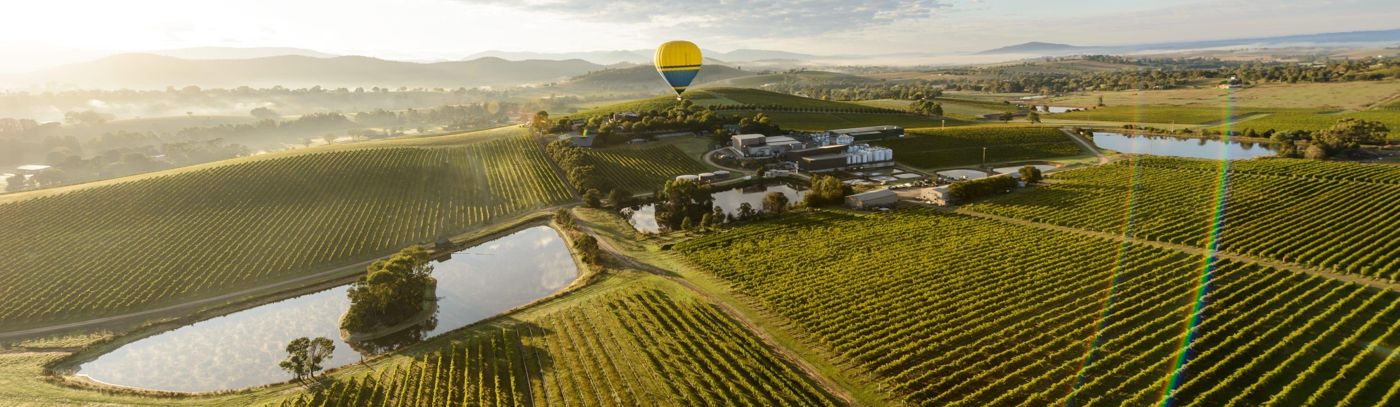 Tour the Yarra Valley with Localing