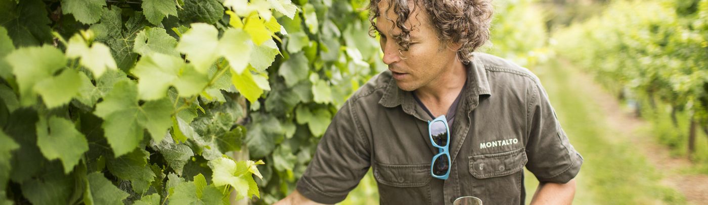 Give a wine experience this Father’s Day