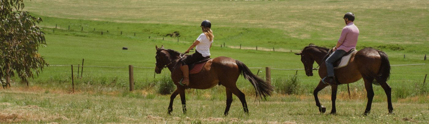 Private Horse Trail Ride Package at Petaluma
