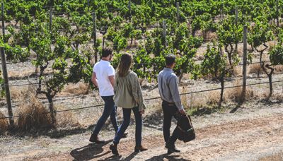 Voyager Estate Sustainability Certification