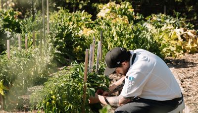 Location Location Location. Wineries with cool kitchen garden experiences.