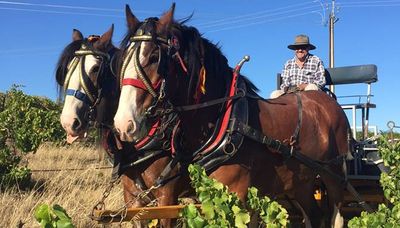 Harvesting with Horses