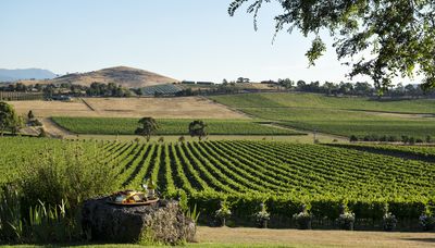 Victoria's Beautiful Yarra Valley