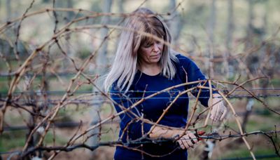 Meet the Characters: Melissa Brown, Gemtree Wines