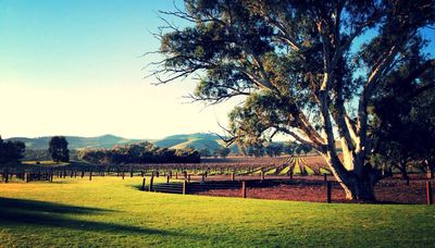 Meet the Winemaker - Nick Bruer, Jacob's Creek