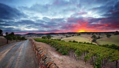 Plan your Barossa wine weekender