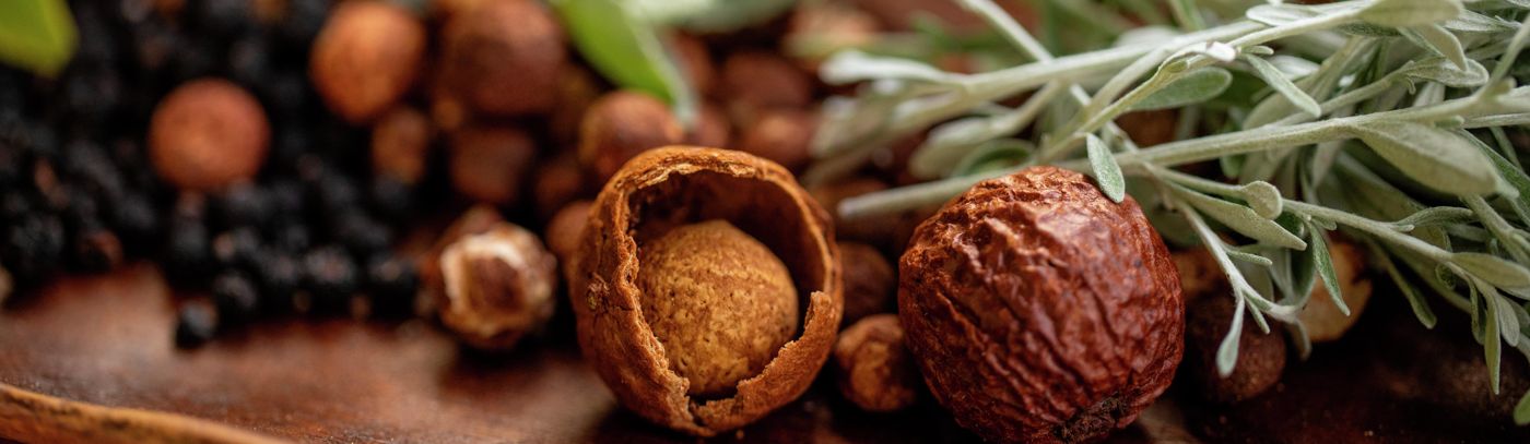 Bush Tucker Tasting