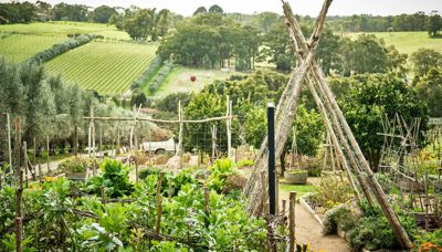 What's growing on at Montalto