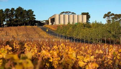 Autumn in the vineyards