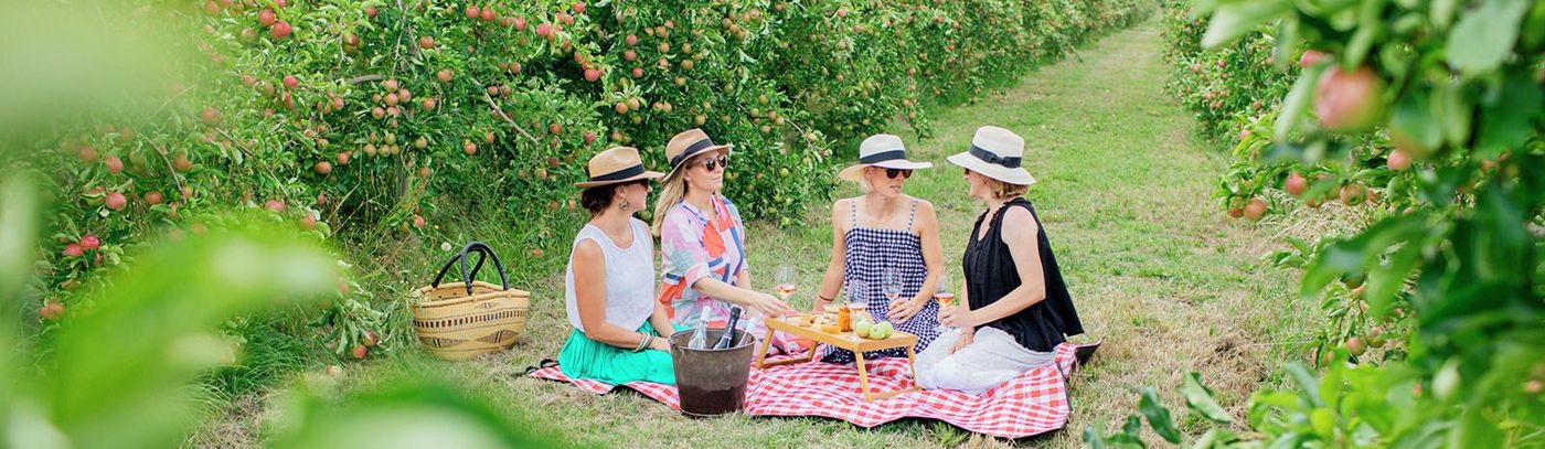 Orange - Views, Wine & Gourmet Delights