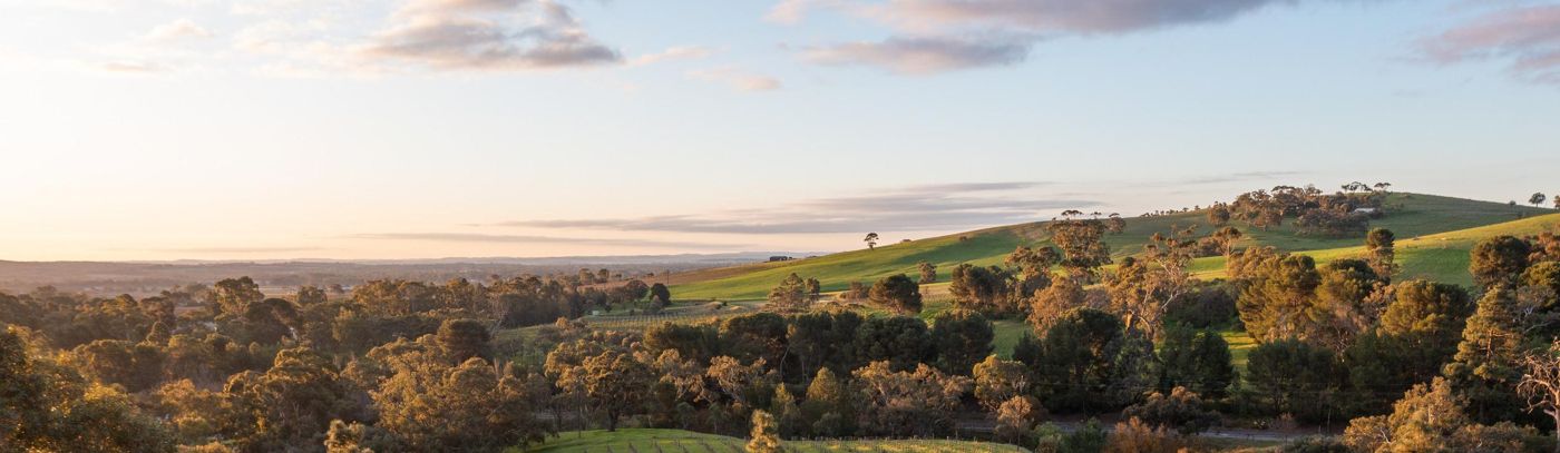 Tour McLaren Vale with Small Batch