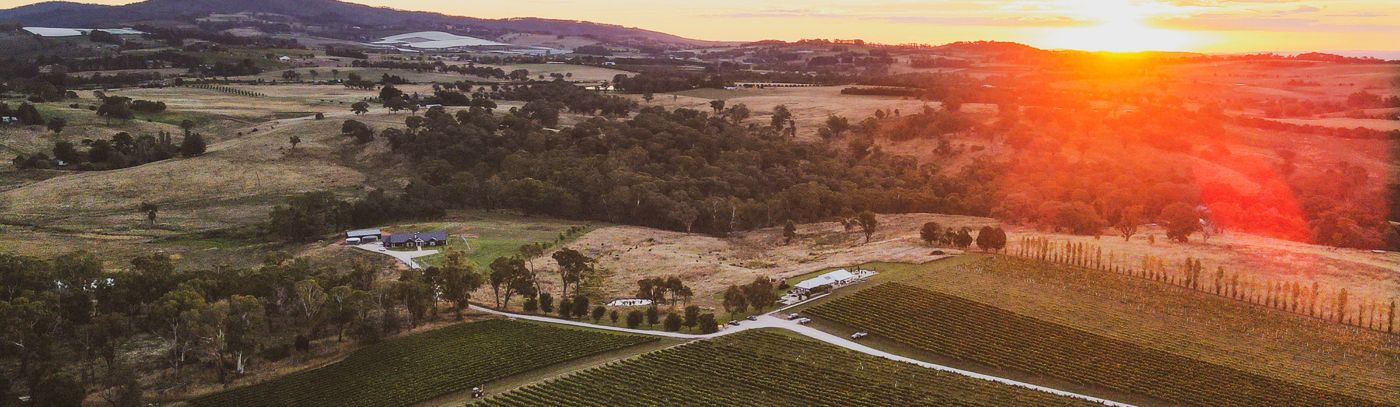 Swinging Bridge hosts Angus Australia