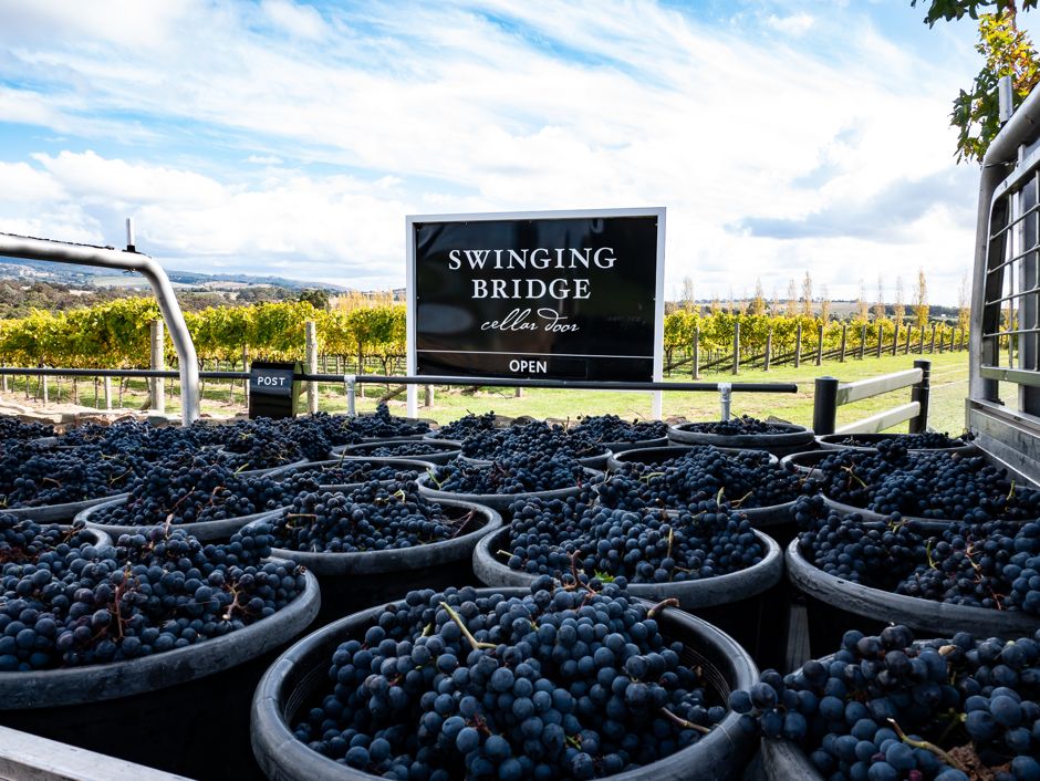 Swinging Bridge_Exterior_Vintage_Grapes_Fruit_Truck_Sign_Vines_Vineyard