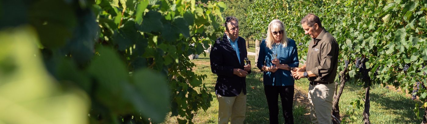 Region Spotlight: Orange, NSW