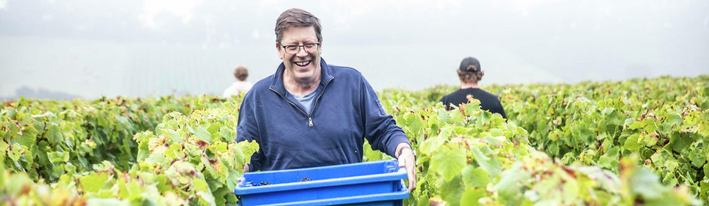 Meet the Maker - Taste the Terroir