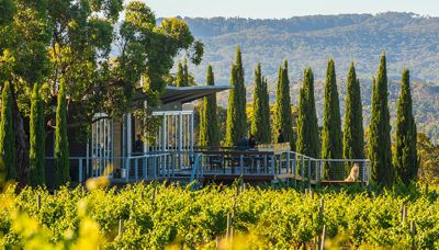 The Lane Vineyard Launches New Terrace