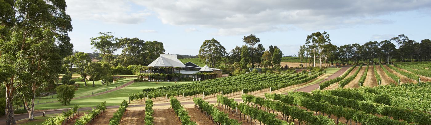 Vasse felix outlet winery