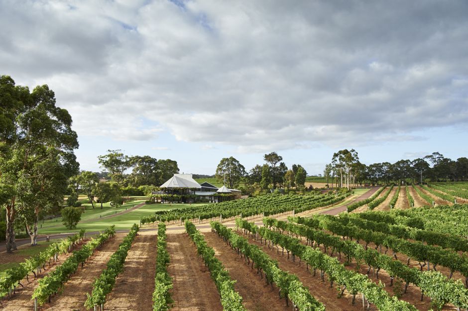 Indulge with Swinging Bridge 022_20170207_Vasse Felix_Vineyards